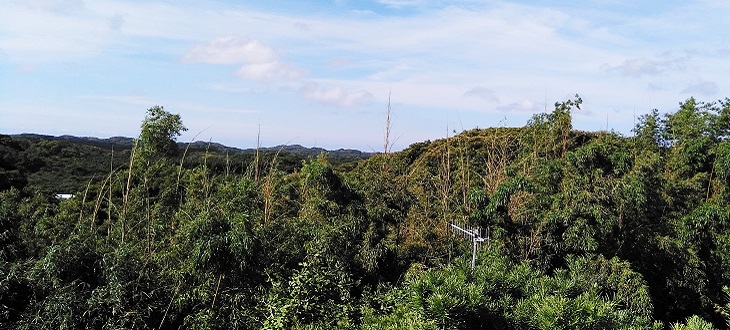 館山